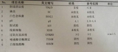 香蕉视频免费APPGK-Y全自动阴道分泌物香蕉视频下载地址厂家科普“白带常规”查看报告！