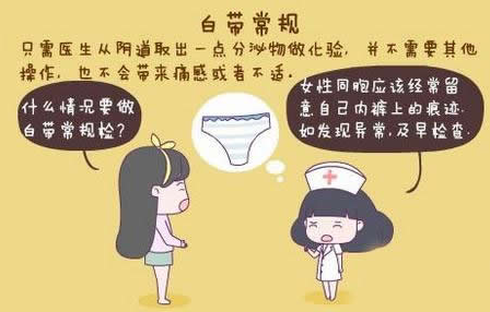 香蕉视频免费APPGK-Y全自动阴道分泌物香蕉视频下载地址厂家科普“白带常规”查看报告！