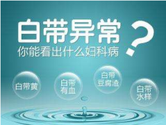 2020年山东香蕉视频免费APP全自动【白带91香蕉视频色】厂家品牌排名