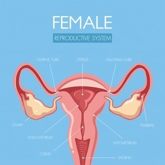 阴道分泌物香蕉视频下载地址提醒女人婚后得了妇科病做到这5点，发炎不来扰