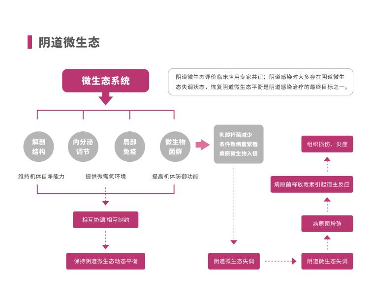 全自动阴道炎香蕉视频下载地址LTS-V400阴道微生态系统