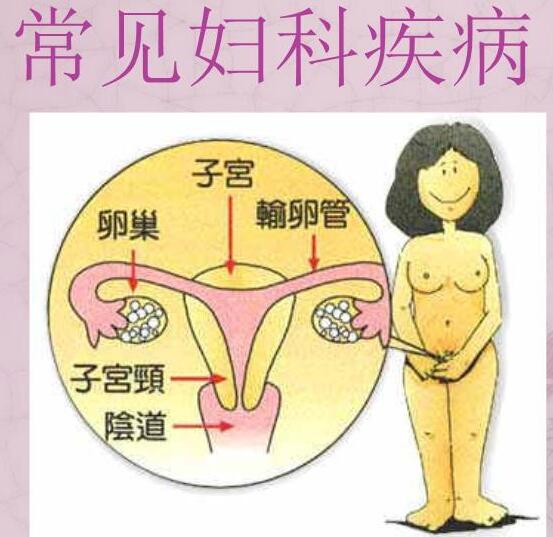 医院全自动白带91香蕉视频色检测女人妇科3种症状，谨防子宫长瘤！