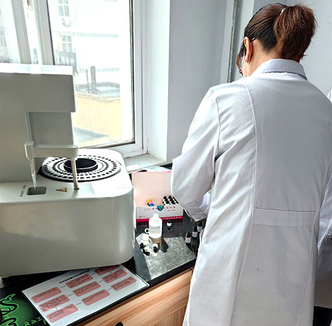 全自动生殖道分泌物香蕉视频下载地址在宕昌县疾病预防控制中心完成装机