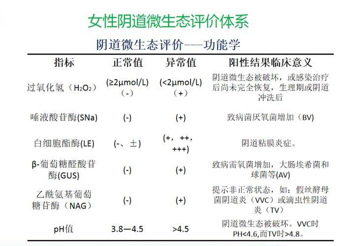 妇科微生态香蕉视频下载地址器